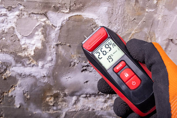 Best Water Damage Restoration  in Shallowater, TX