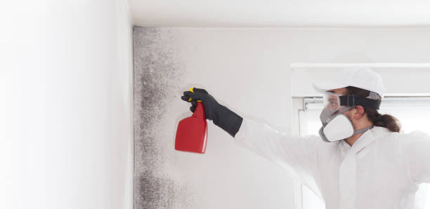 Water Damage Restoration in Shallowater, TX