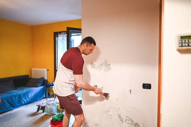 Shallowater, TX Mold Removal Company