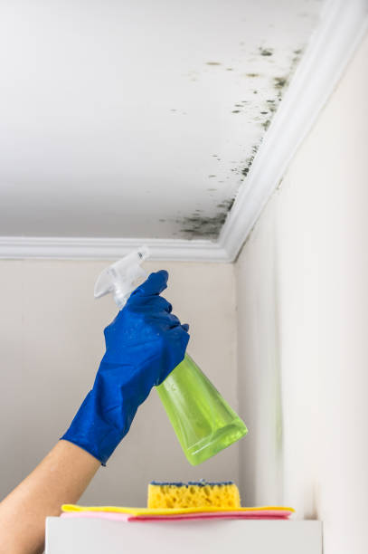 Crawl Space Mold Removal in Shallowater, TX